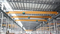 European Style Single Girder Wire Rope Electric Hoist Overhead Crane