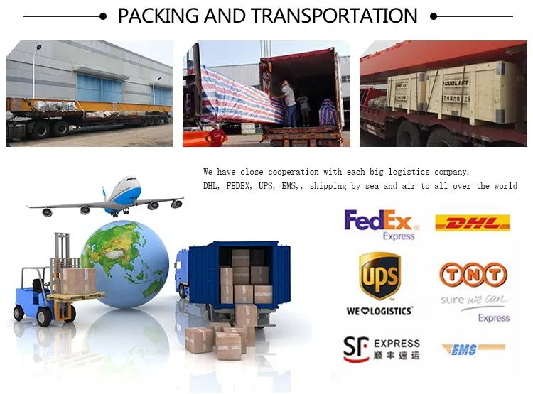 European Style Single Girder Wire Rope Electric Hoist Overhead Crane