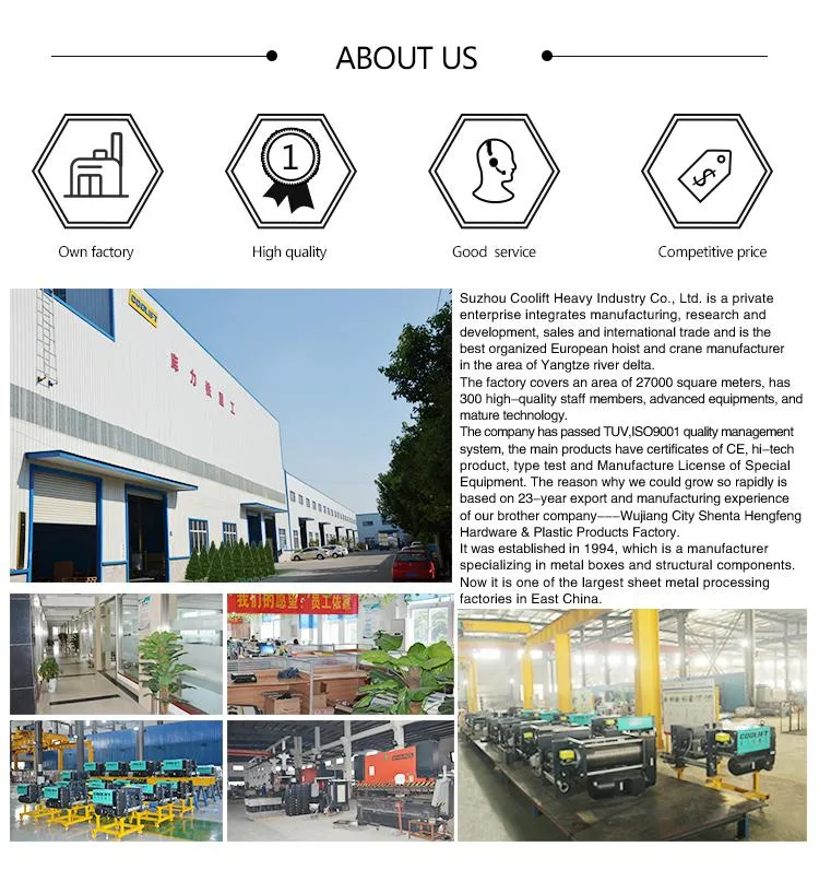 10t 15m European Type Lifting Equipment Electric Wire Rope Hoist with Factory Manufacturer
