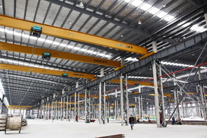 European Style 3t-12t Single Girder Wire Rope Electric Hoist Overhead Crane