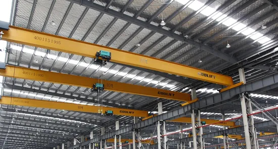 5t Lifting Equipment Single Girder Wire Rope Crane with CE Certificate
